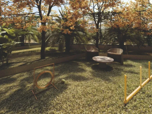 Área de lazer Pet Care com gramado e equipamentos de agility no jardim do condomínio Fascino Consciente.