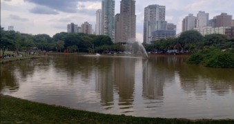 Reflexo Prédios Bueno