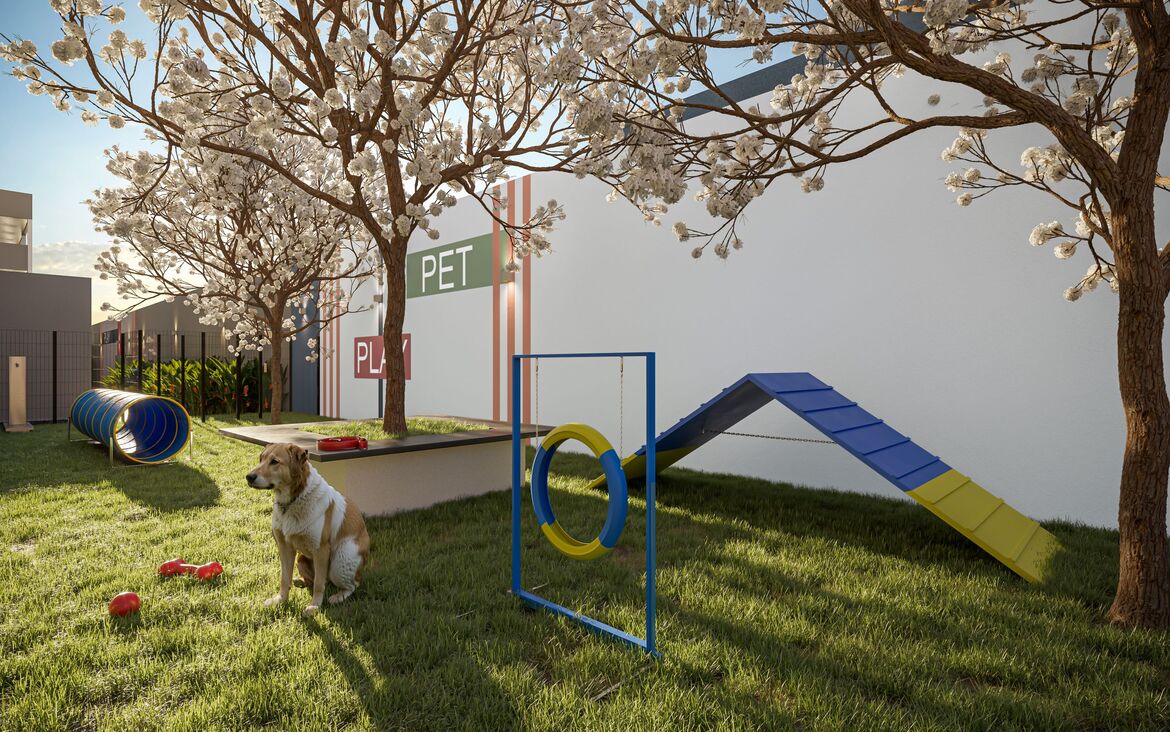 Espaço pet ao ar livre com gramado, obstáculos para treinamento e área de lazer para cães.