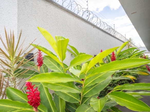 Jardim residencial com plantas tropicais e flores vermelhas
