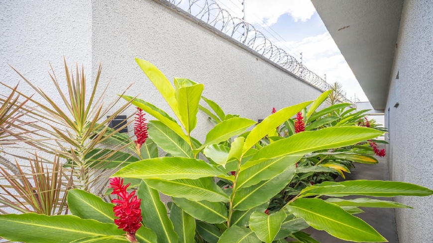 jardim-plantas-tropicais-flores-vermelhas Jardim residencial com plantas tropicais e flores vermelhas